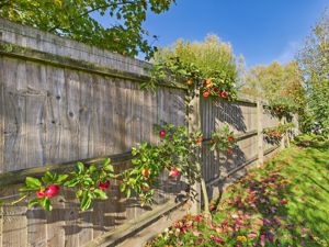 Gardens- click for photo gallery